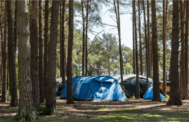 Camping Holidays for Families & Friends | Avon Tyrrell