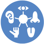 Blue vector graphic with white symbols of the senses - eye, mouth, ear, hand, tongue - all connected