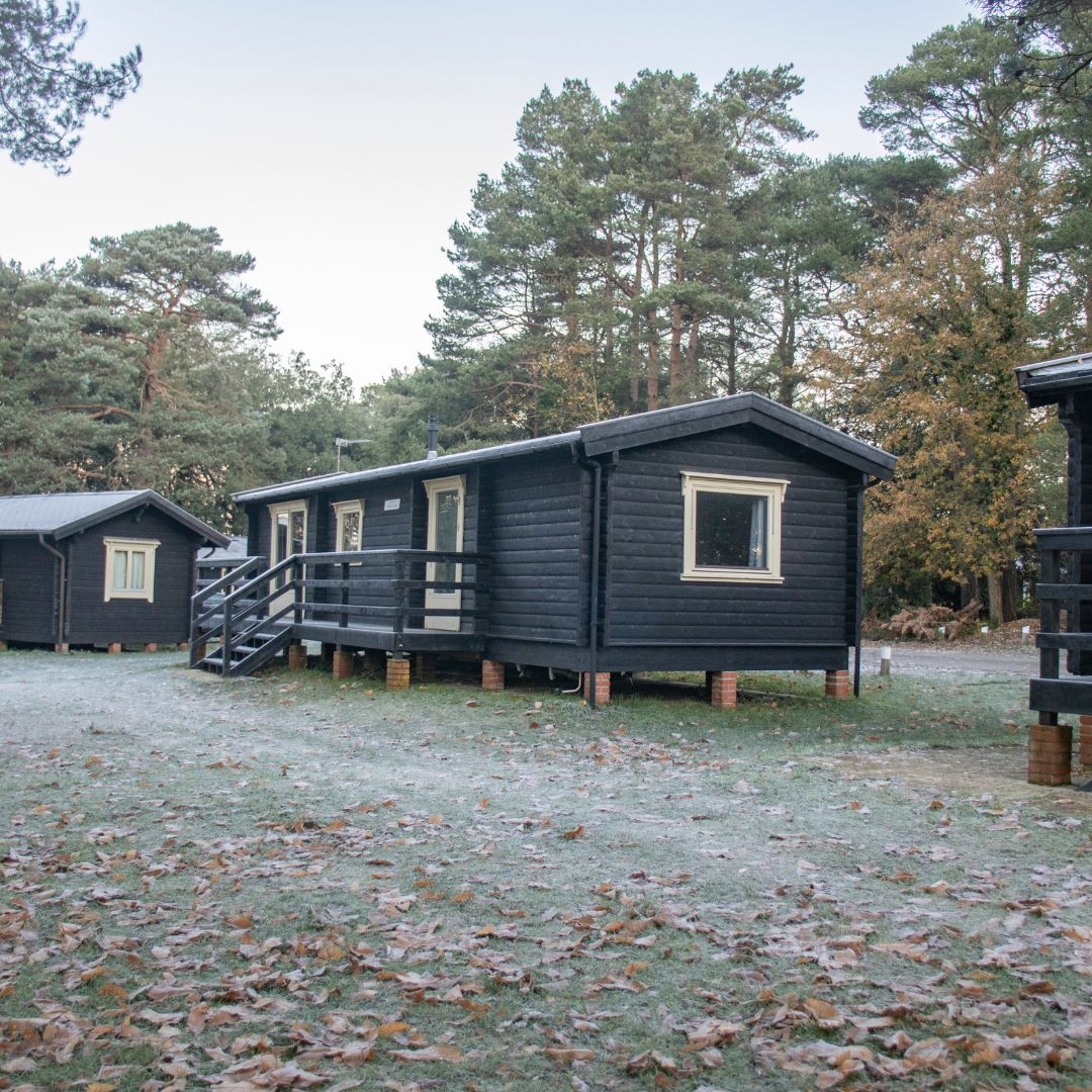 6 berth lodge at avon tyrell in the forest with trees surrounding wooden lodge