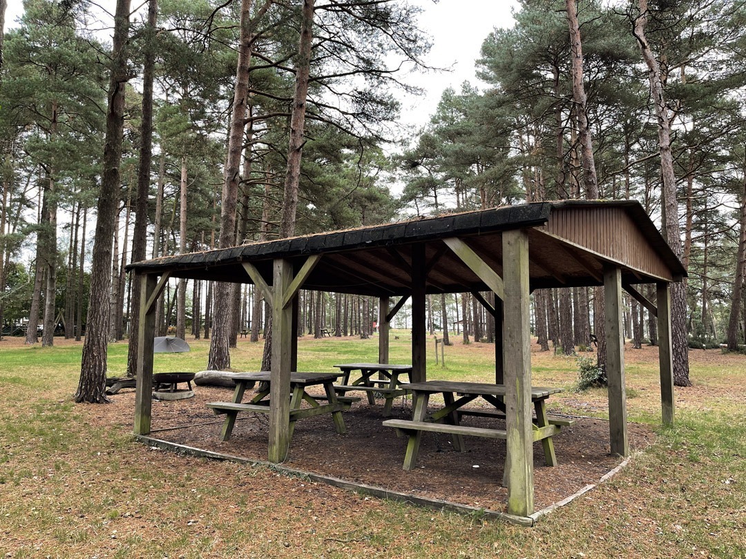 Wooden shelter with picnic tables underneath in the forest at Avon Tyrrell