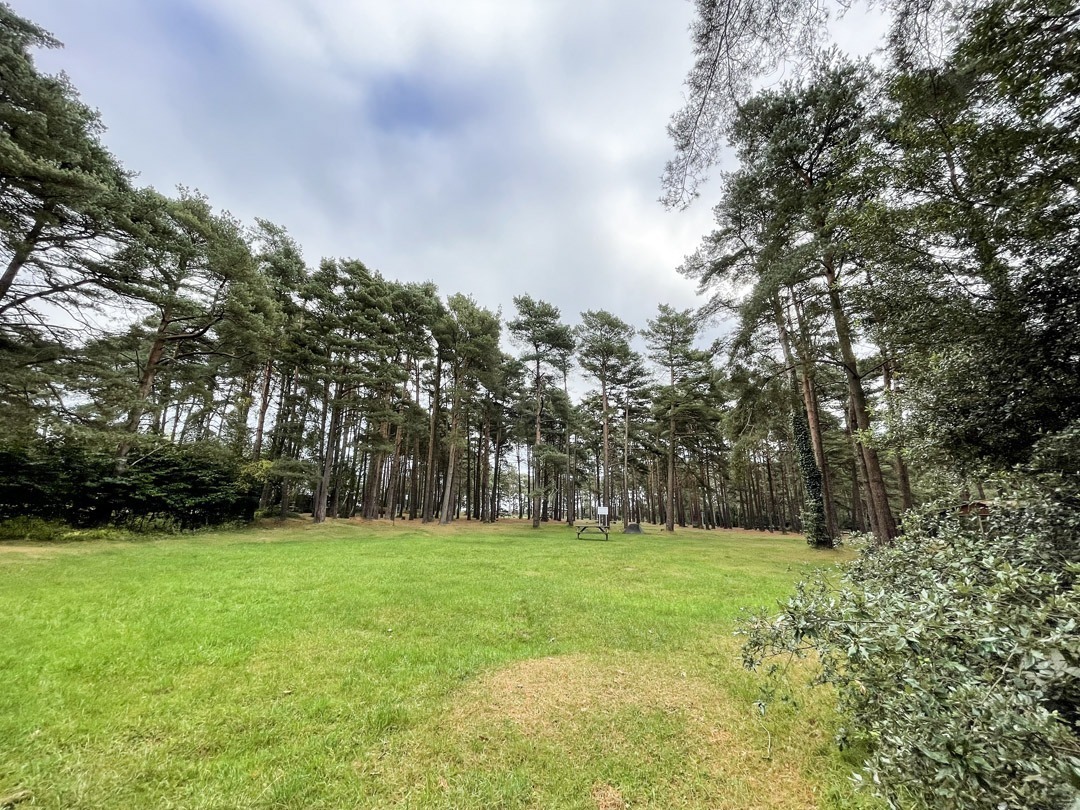 Forest camping area with trees surrounding a grass pitch in the new forest at avon tyrrell