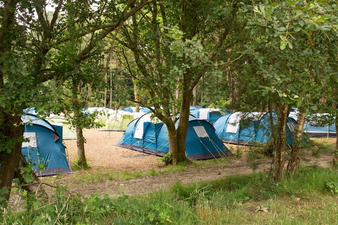 Blue and green pre-pitched tents in escape camping area at Avon Tyrrell in the forest