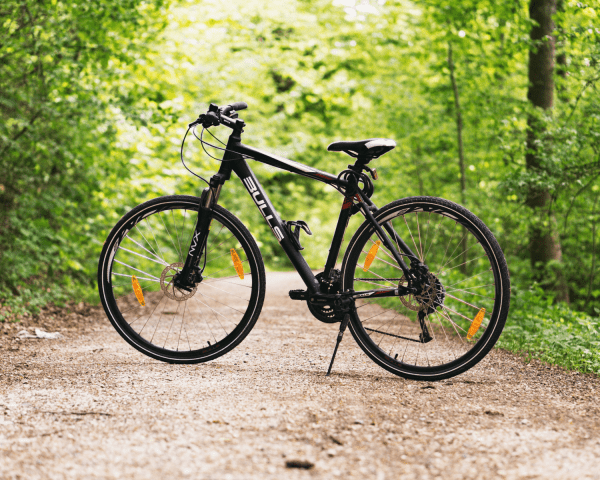 Bike on bike stand on a gravel track with trees and branches with leaves in background