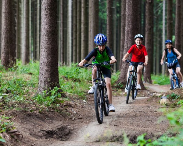 two children cycling on bikes in a forest along a dirt pathway with adult on bike out of focus in the background - all are surrounded by trees