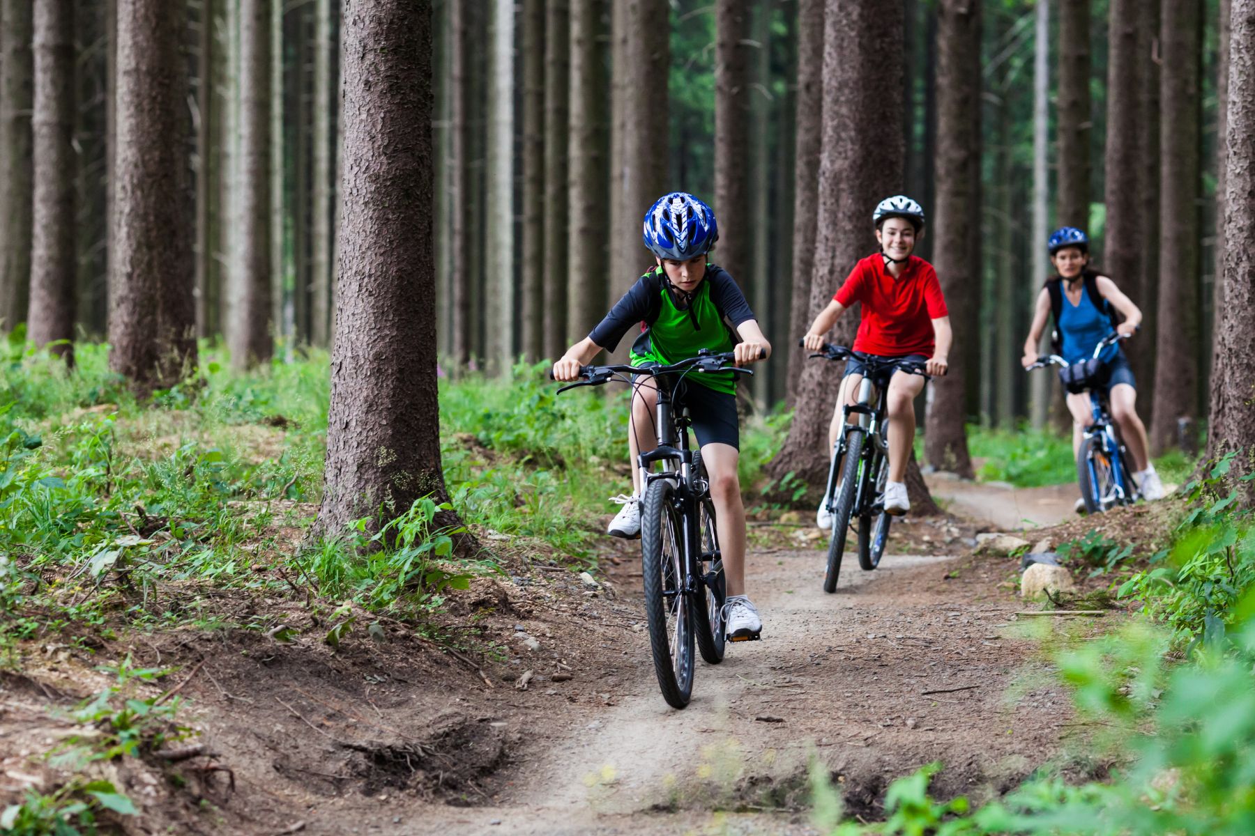 two children cycling on bikes in a forest along a dirt pathway with adult on bike out of focus in the background - all are surrounded by trees